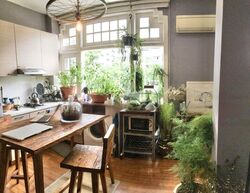 Wilkie Road (D9), Apartment #467338461